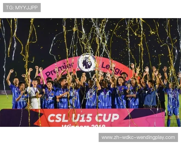 苏宁控股的英超球队及合作概况