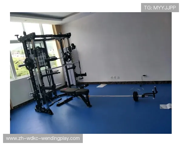 健身器材在篮球训练中的辅助作用与实践应用